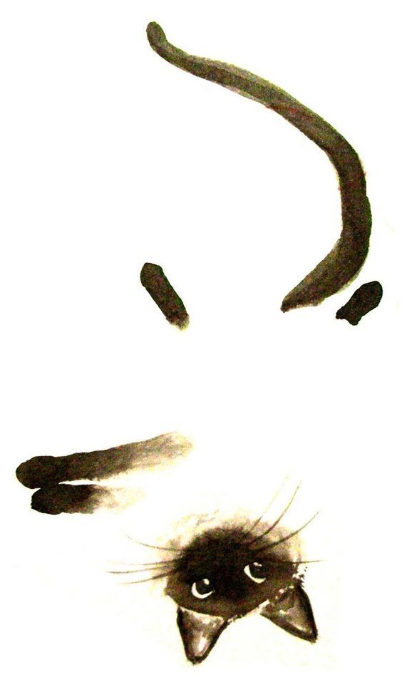 an artistic drawing of a cat's face and tail