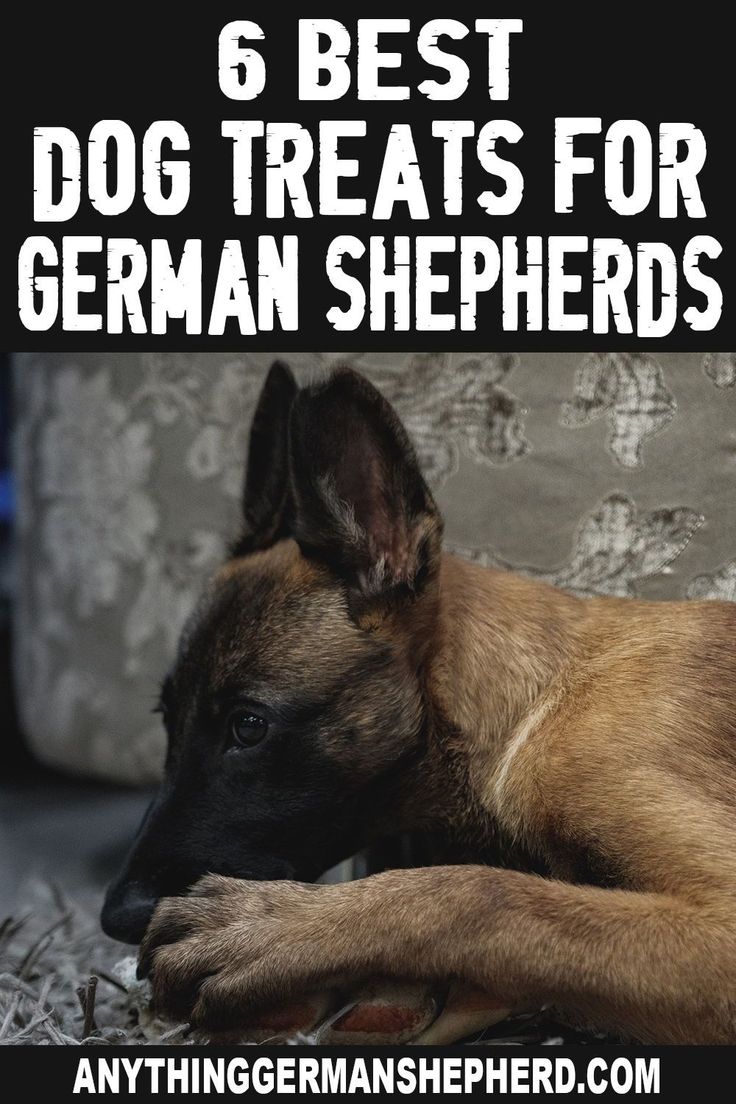 a german shepherd dog laying on the ground with text overlay reading 6 best dog treats for german shepherds