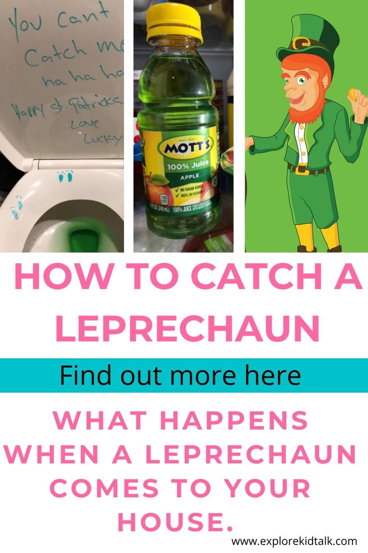 a toilet with the caption how to catch a leprechaun