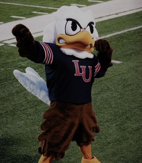 a mascot is standing on the field with his arms out and hands in the air