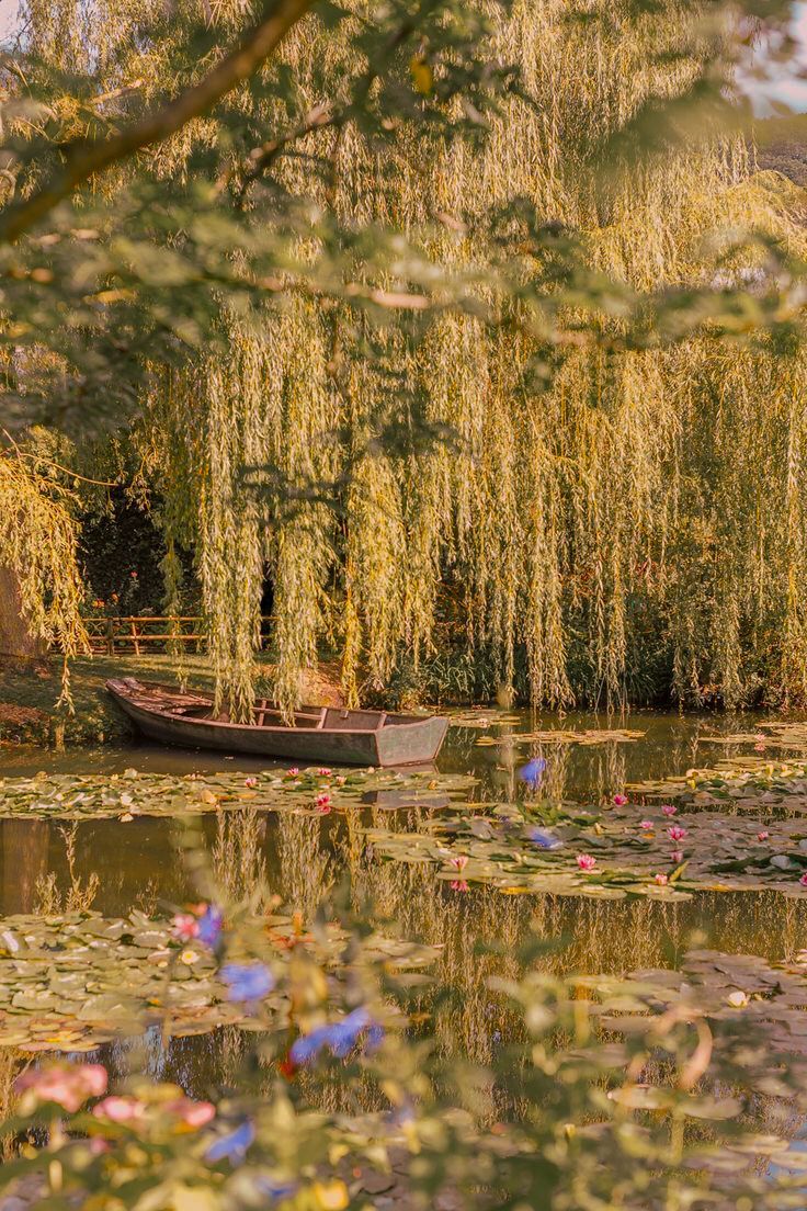 a boat floating on top of a lake next to a forest filled with green leaves