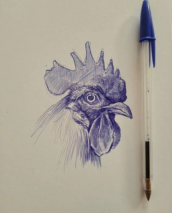 a pencil drawing of a rooster's head on paper with a pen next to it