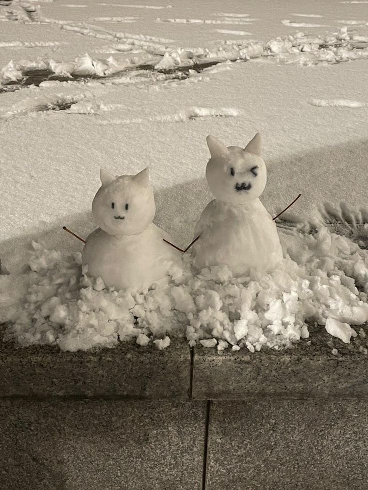 two snowmen are sitting in the snow with their heads turned to look like cats