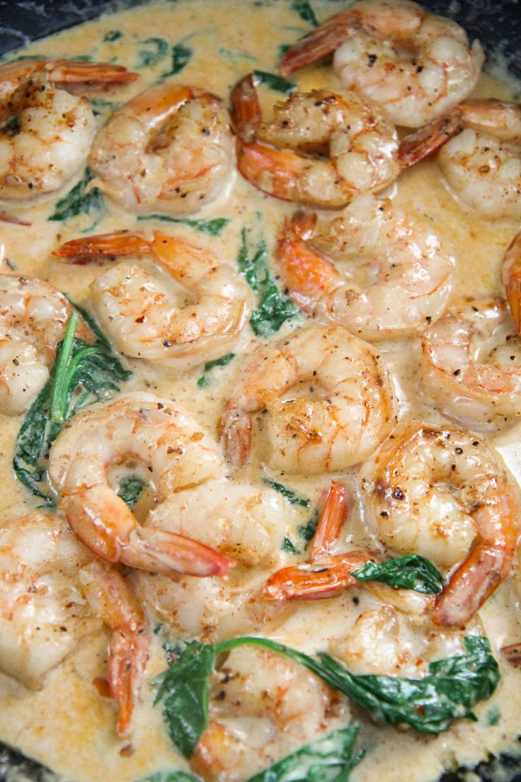 shrimp and spinach stew in a white sauce