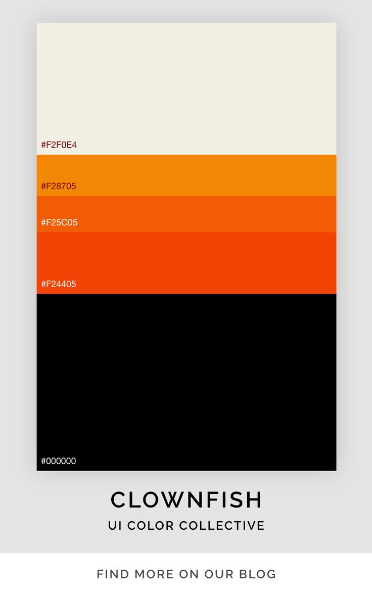 an orange and black color scheme with the words clownfish on it