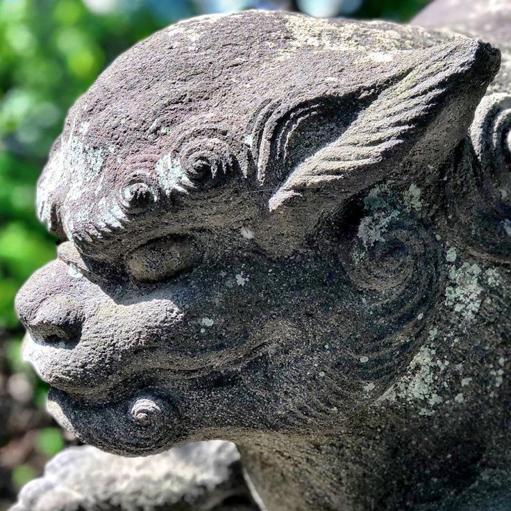 a close up of a stone animal statue