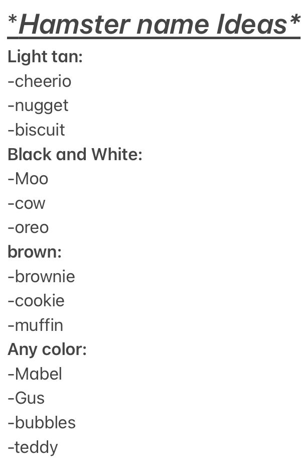 the names of different types of items on a white background with black and white lettering