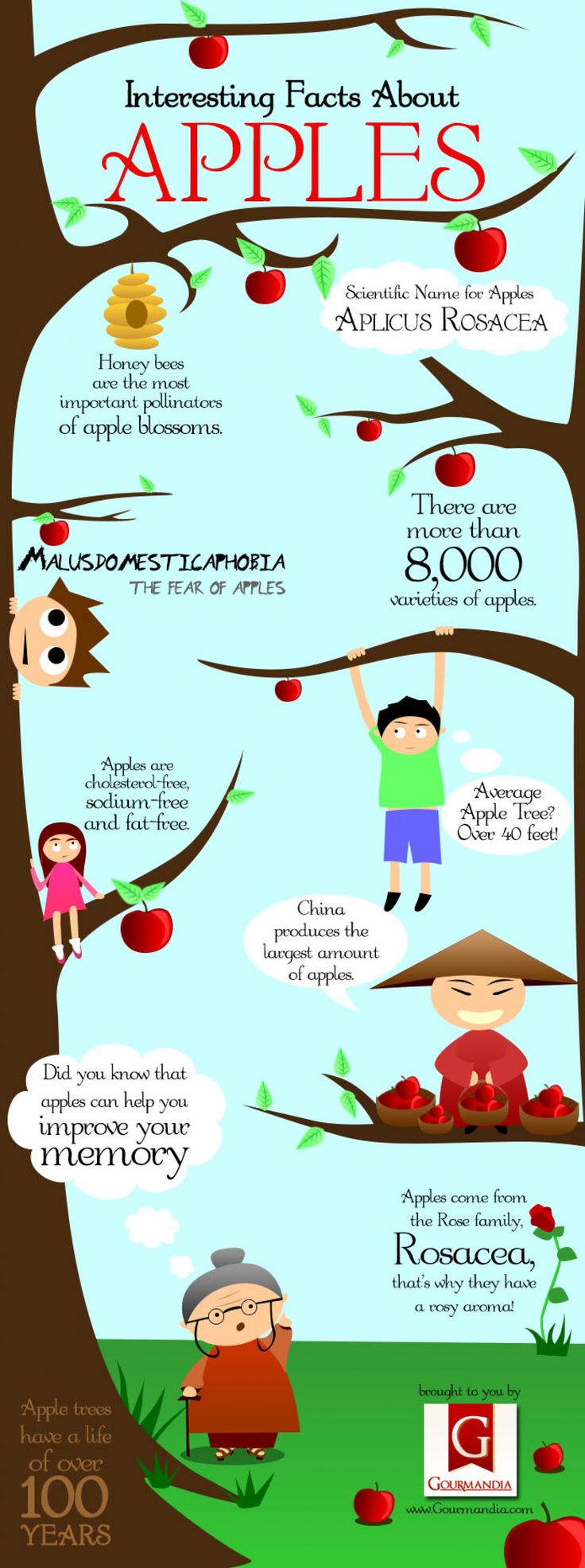 apple trivia | Interesting Facts About Apples | LOVE INFOGRAPHICS Apple Infographic, Apple Facts, Interesting Infographics, Fun Food Facts, Fruit Facts, Apple Kindergarten, Apple Benefits, Adolescent Health, Nutrition Course