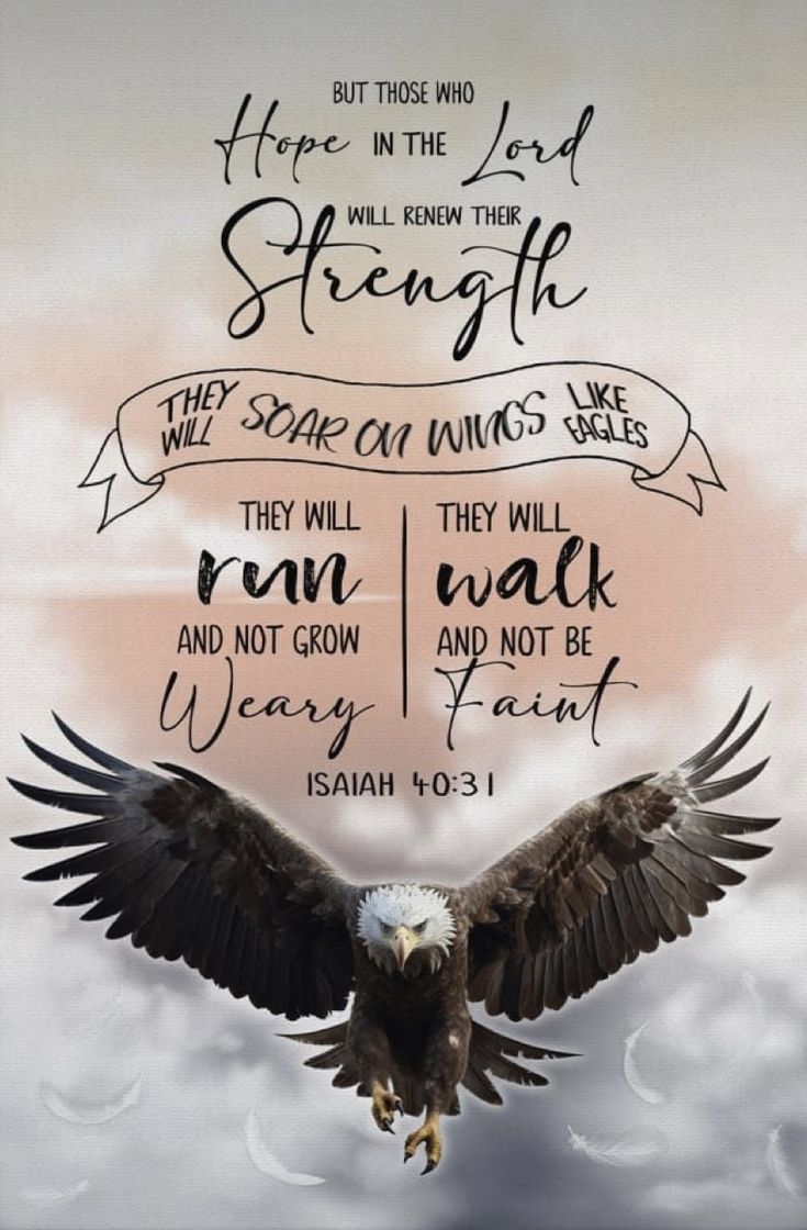 Rise Up On Wings Like Eagles, Soar On Wings Like Eagles Verse, Eagle Quotes Strength, Isaiah 40 31 Wallpaper, Eagle Bible Verse, Eagles Quotes, Bible Verses Phone Wallpaper, Run And Not Grow Weary, Beautiful Bible Quotes