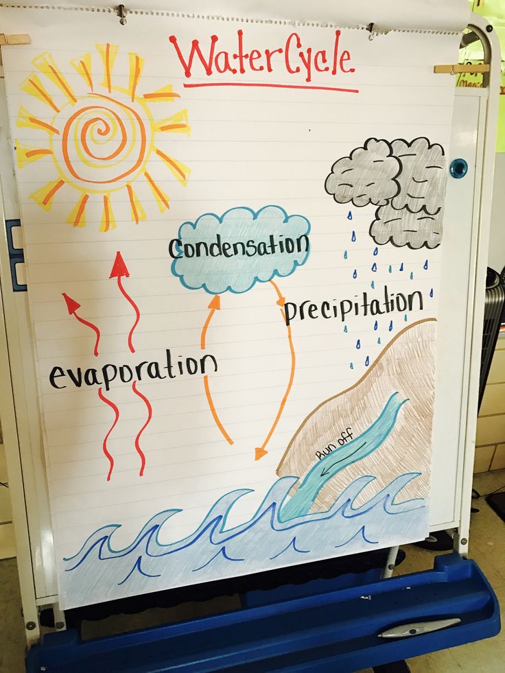 a white board with water cycle written on it