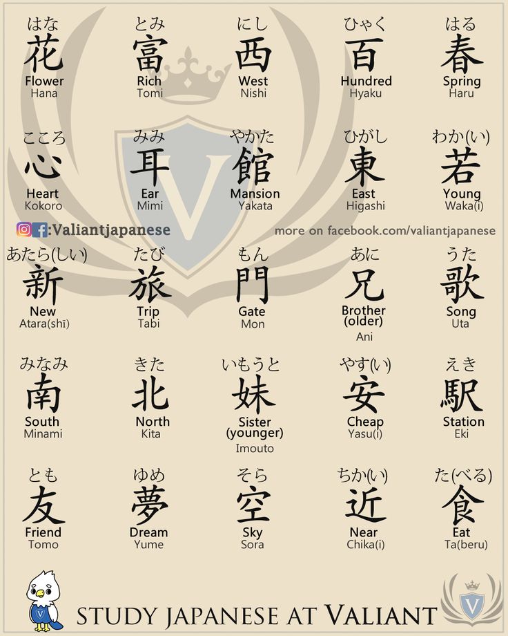 Valiant Language School Japanese Verbs, School Japanese, Learn Korean Alphabet, Bahasa Jepun, Materi Bahasa Jepang, Basic Japanese Words, Japanese Language Lessons, Learn Japanese Words, Japanese Phrases