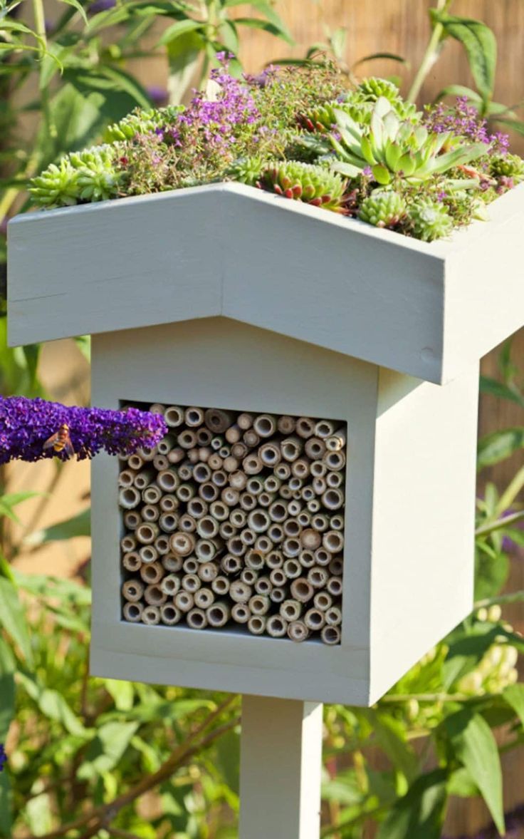 a bee hotel with purple flowers and green plants in the backgrounge area