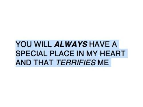 the words you will always have a special place in my heart and that terriies me