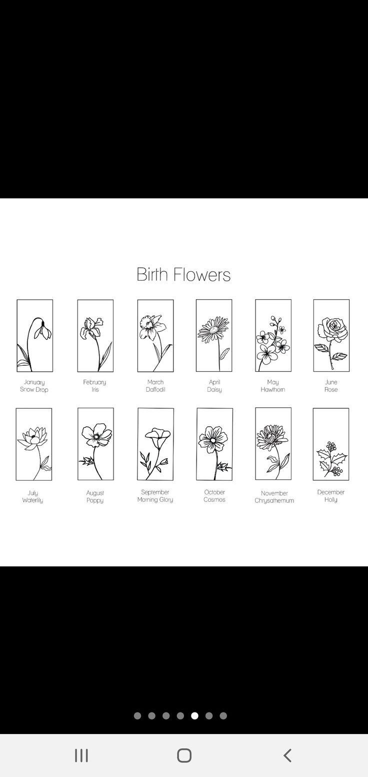 the flowers are shown in black and white, with different names on each one side