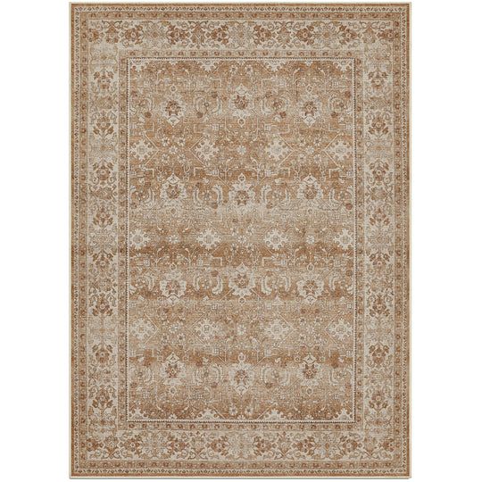 an area rug with brown and beige colors