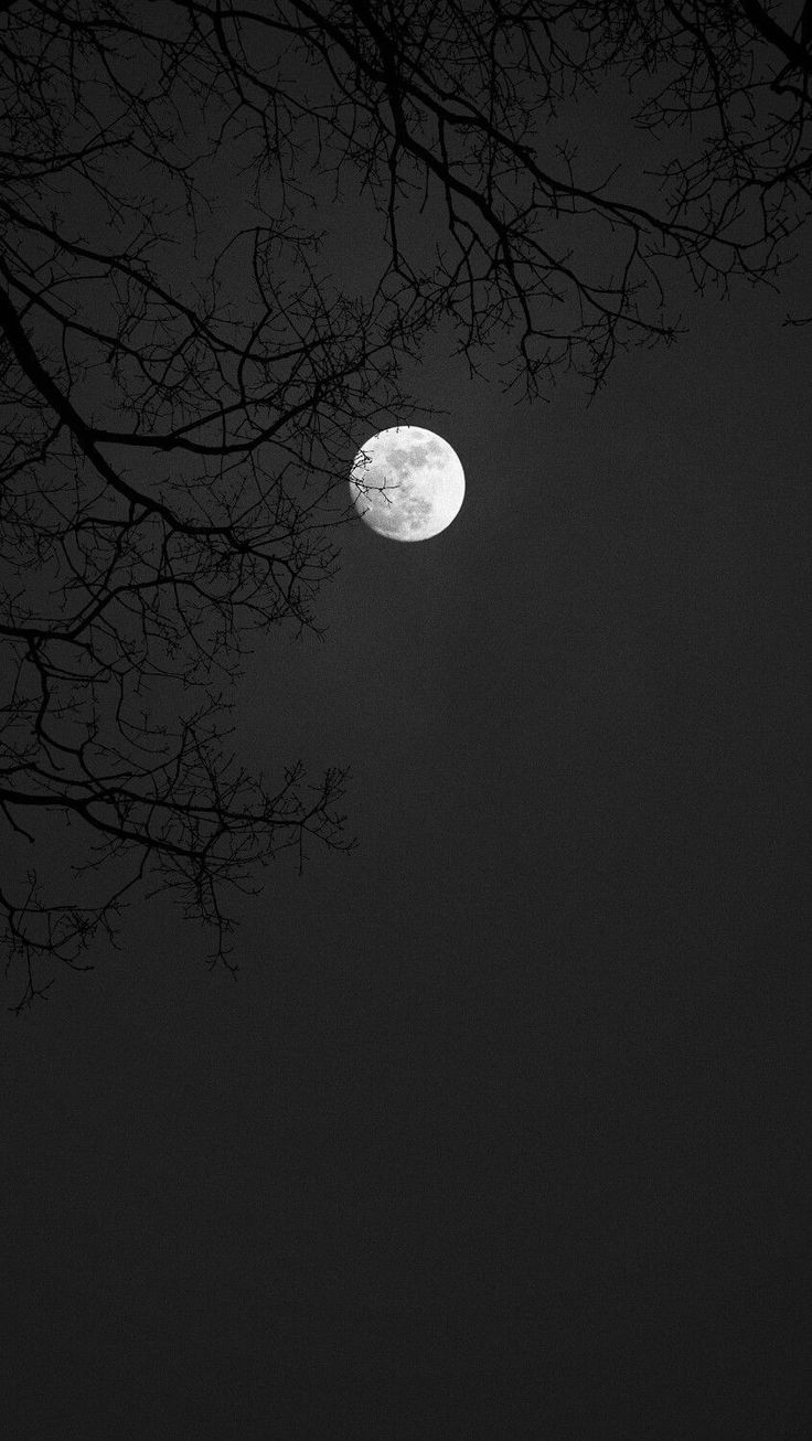 the moon is seen through some trees in the night sky, with no leaves on it