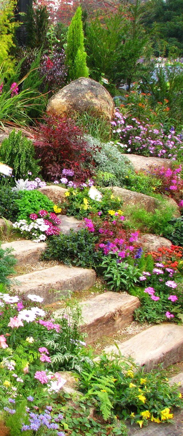 a garden filled with lots of different types of flowers and plants on top of stone steps