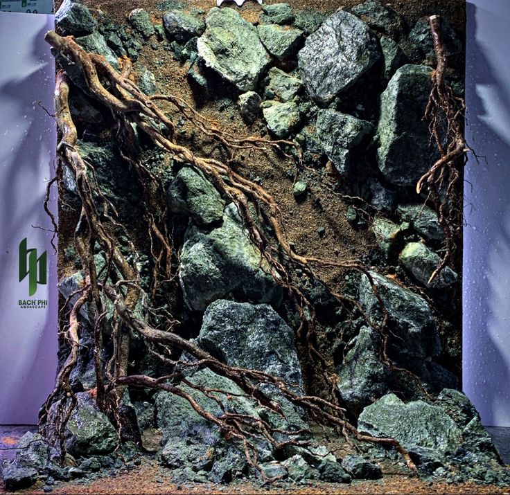 an aquarium with rocks and vines growing on it