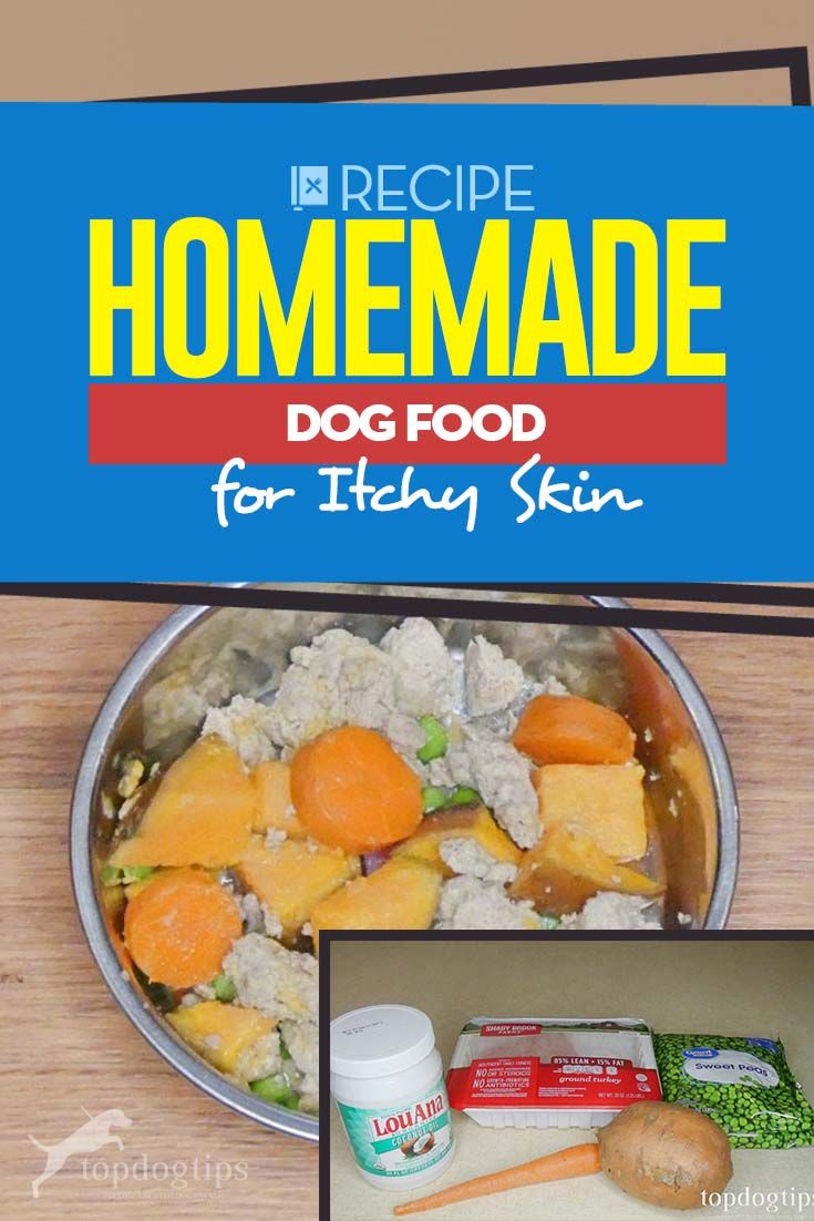 recipe homemade dog food for healthy skin is displayed in front of a sign with pictures of it