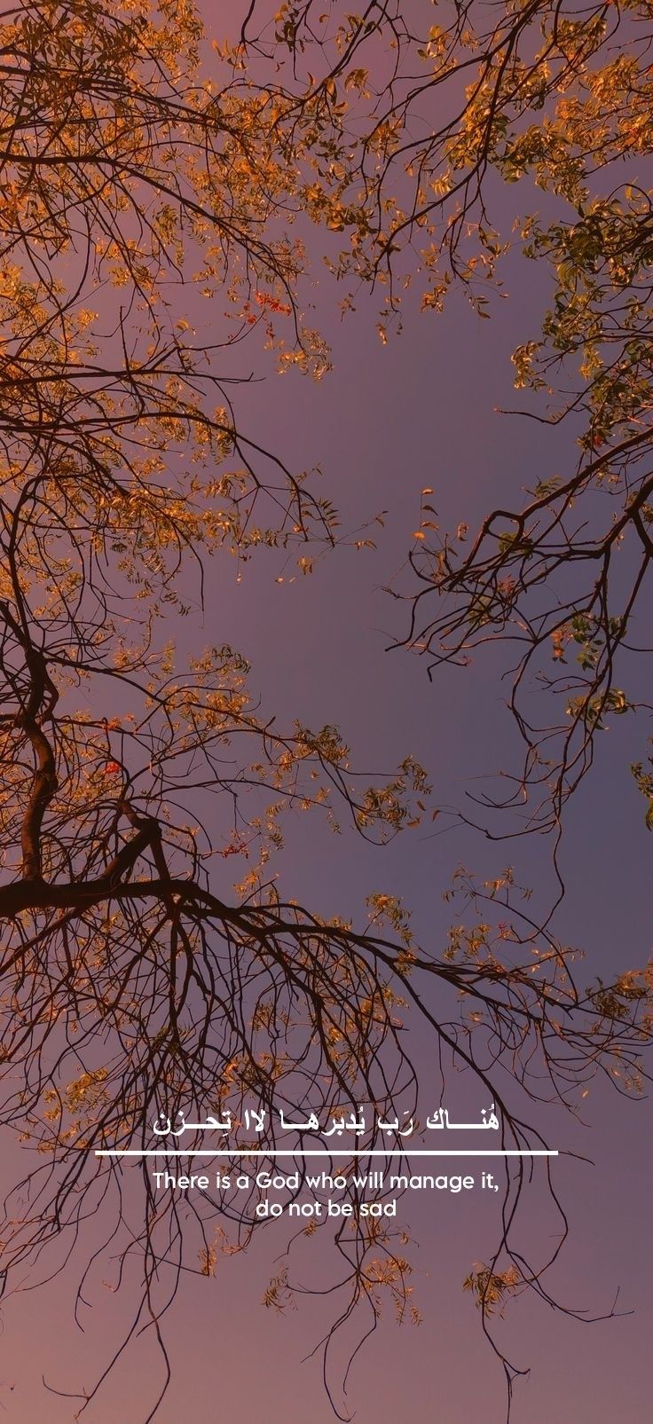 an image of the sky and trees with arabic writing on it, as seen from below