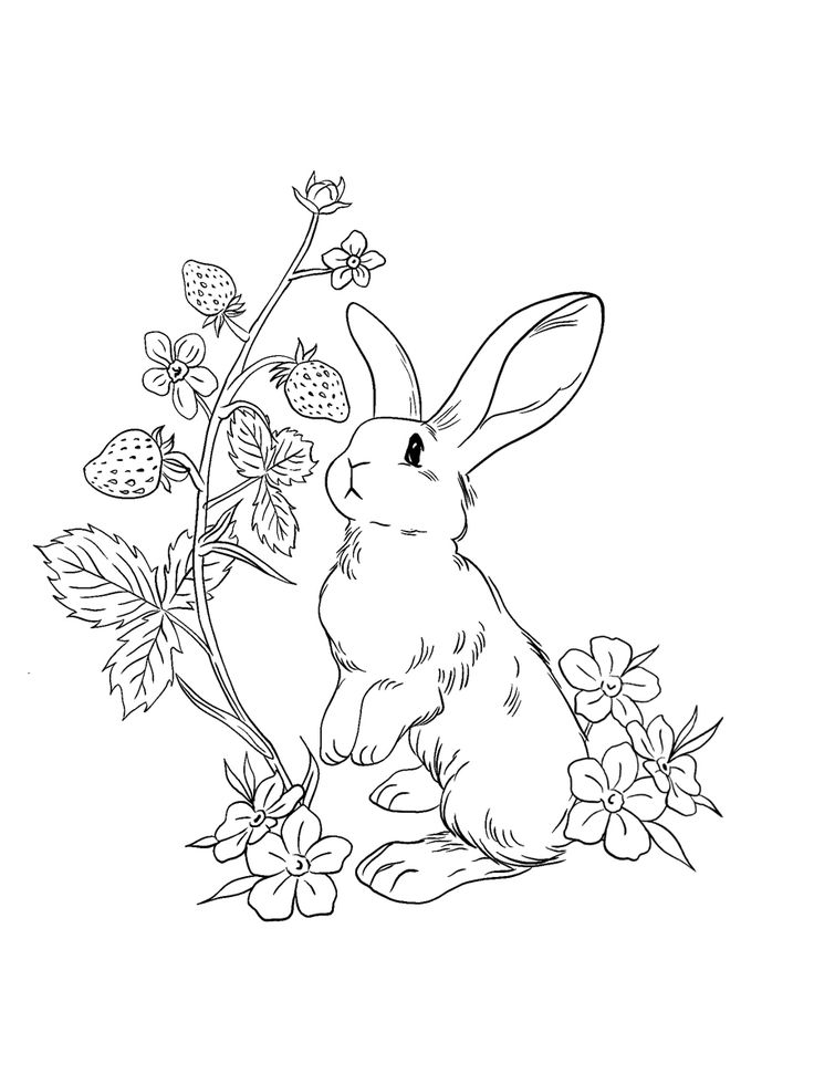 a black and white drawing of a bunny sitting on the ground next to some flowers