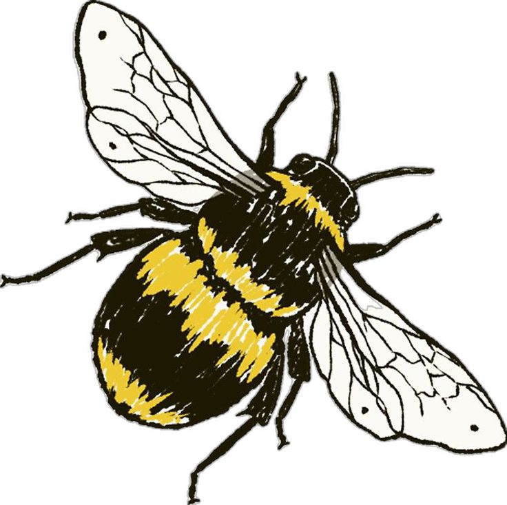 a drawing of a bee with yellow and black stripes on it's body, sitting down