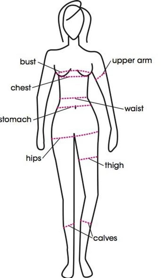 the anatomy of a woman's body and its major parts, labeled in red