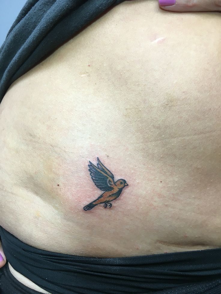 a woman's stomach with a small bird tattoo on the side of her belly