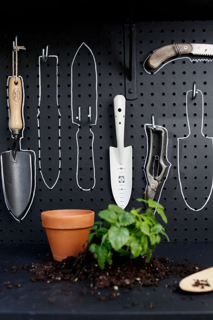 there are many gardening utensils hanging on the wall next to a potted plant