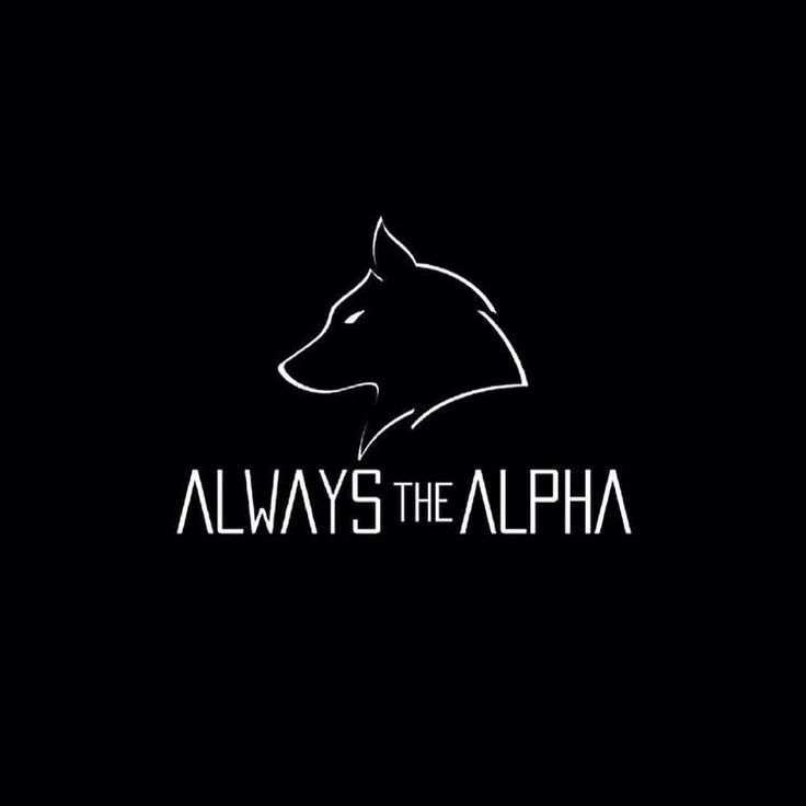 a black and white logo with the words, always the alpha