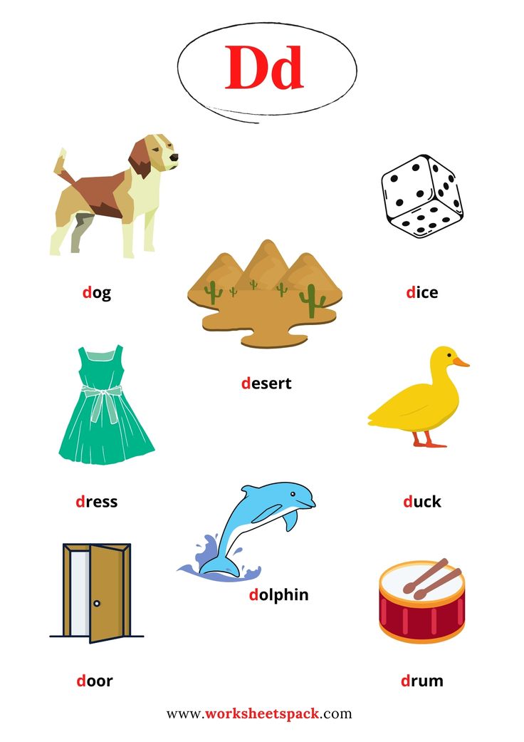 FREE PRINTABLE WORKSHEETS PACK. Letter D Pictures For Preschool, D Words Preschool, Letter D Words And Pictures, D Words For Kids, Letter D Words, Bird Free Printable, D Alphabet, Esl Preschool, Preschool Pictures