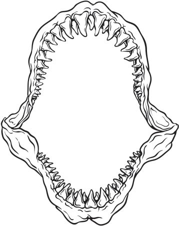 a drawing of a shark's teeth