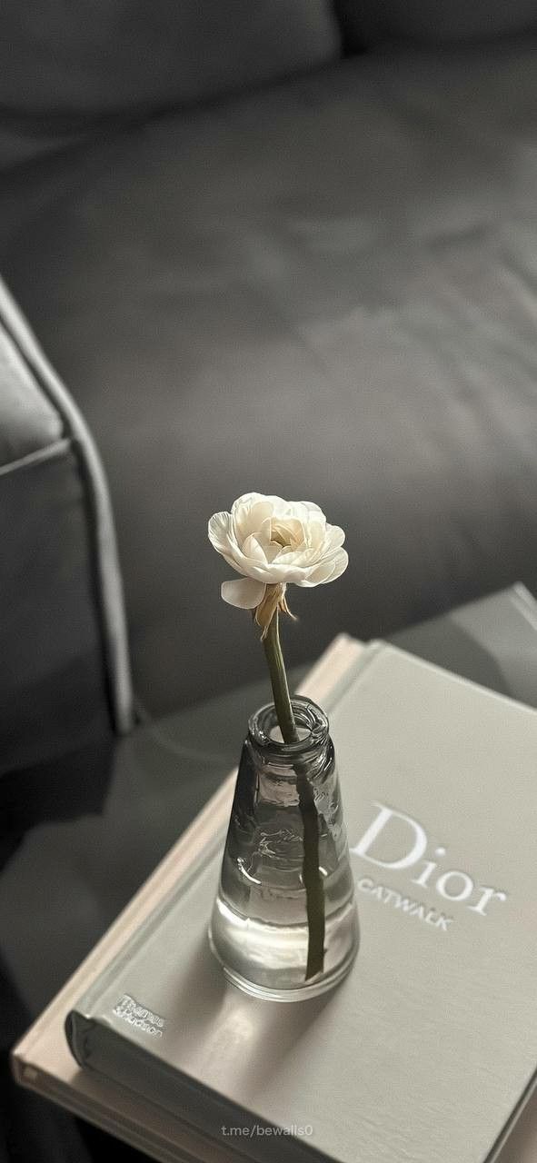 a flower in a vase sitting on top of a book