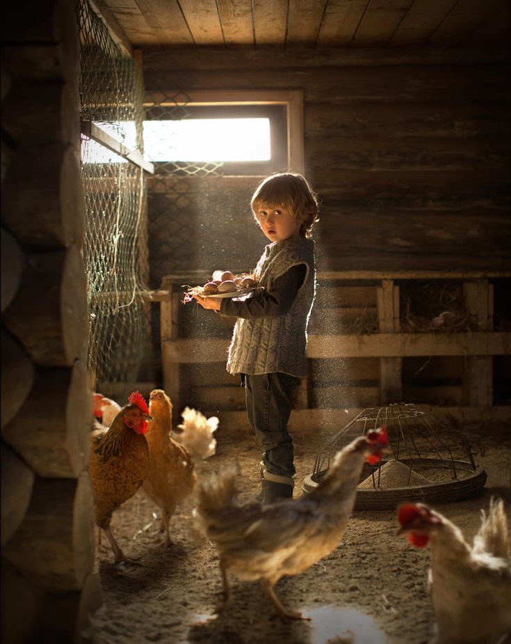 a little boy standing next to chickens in a chicken coop with sunlight coming through the window