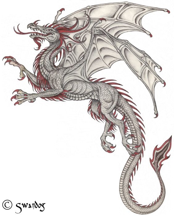 a drawing of a dragon with red wings