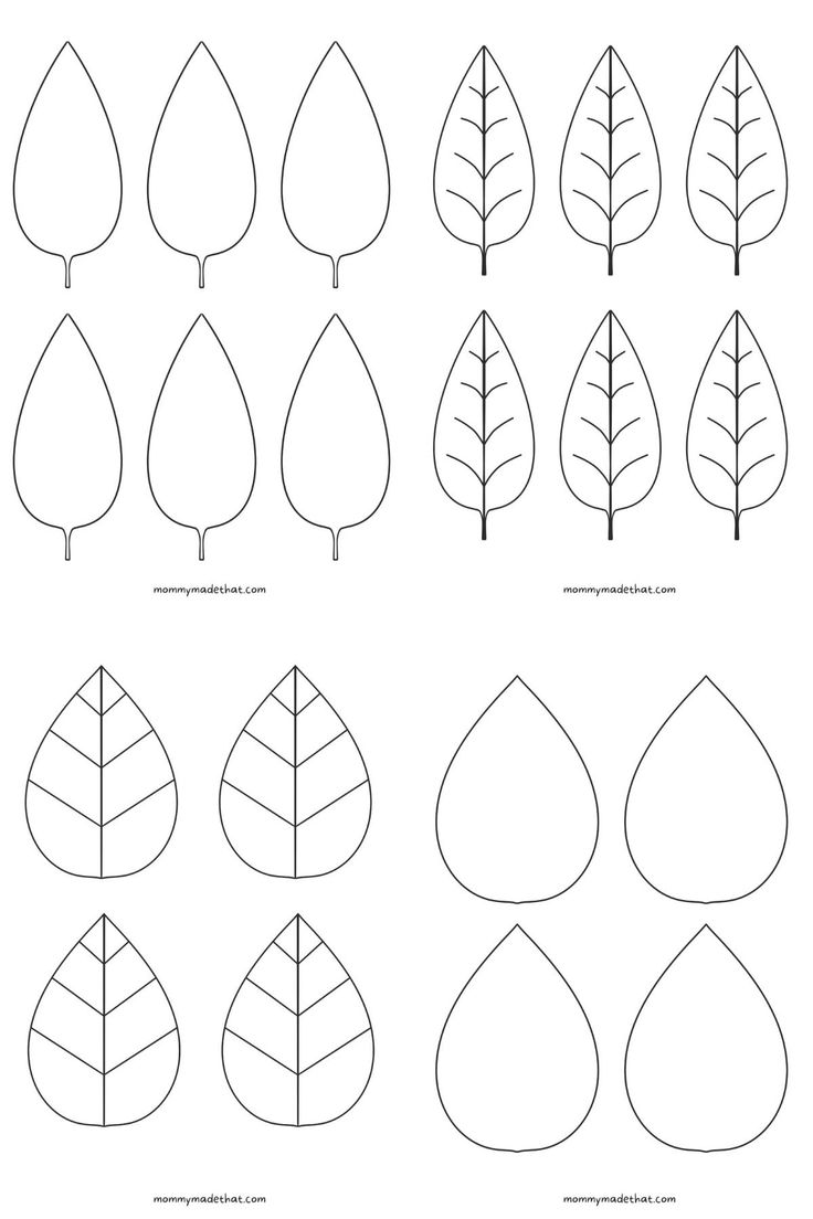 different types of leaves that are drawn on paper