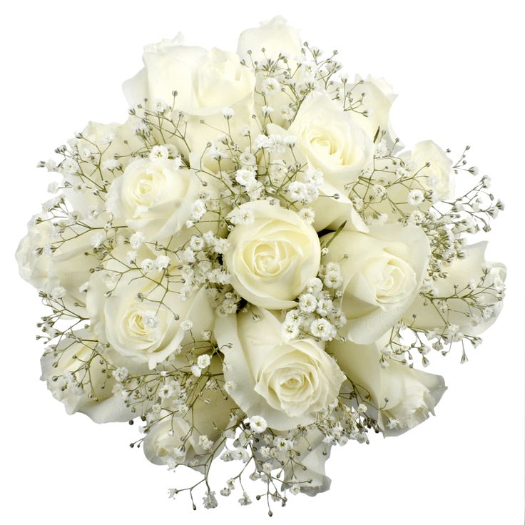 a bouquet of white roses and baby's breath