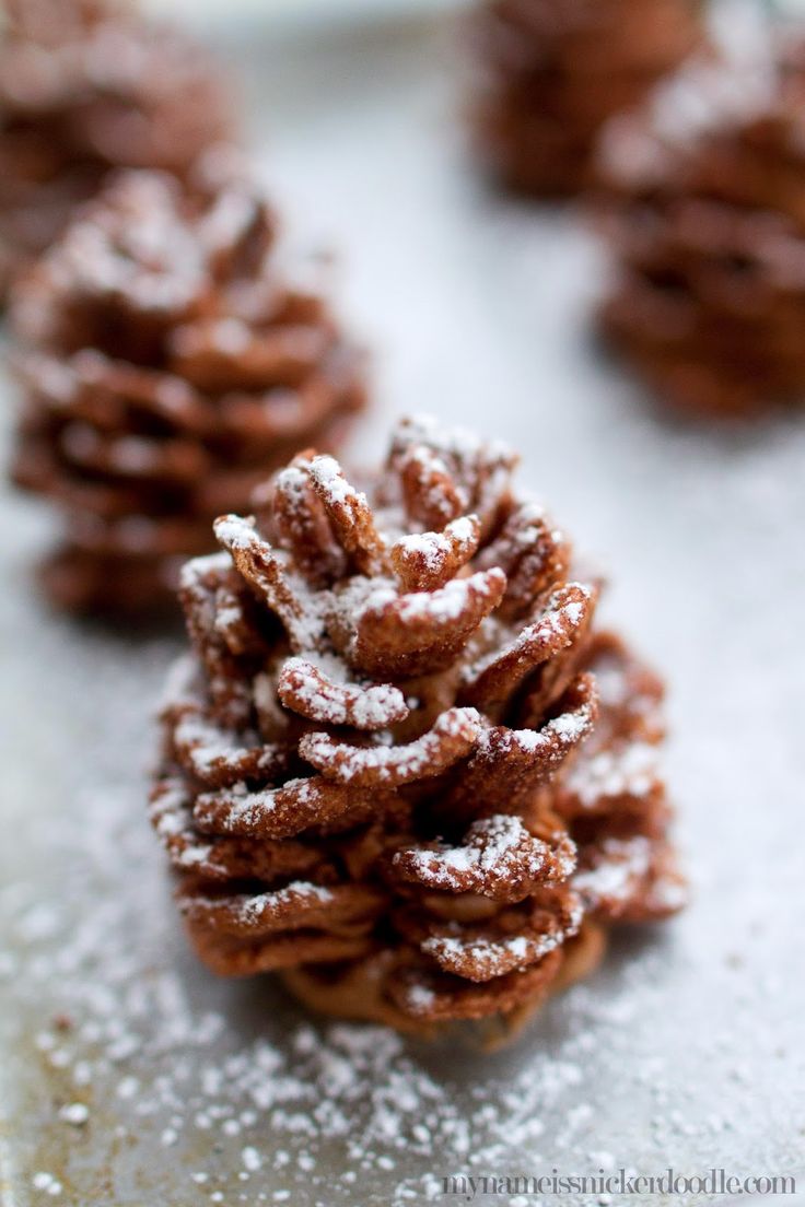 small pine cones covered in powdered sugar