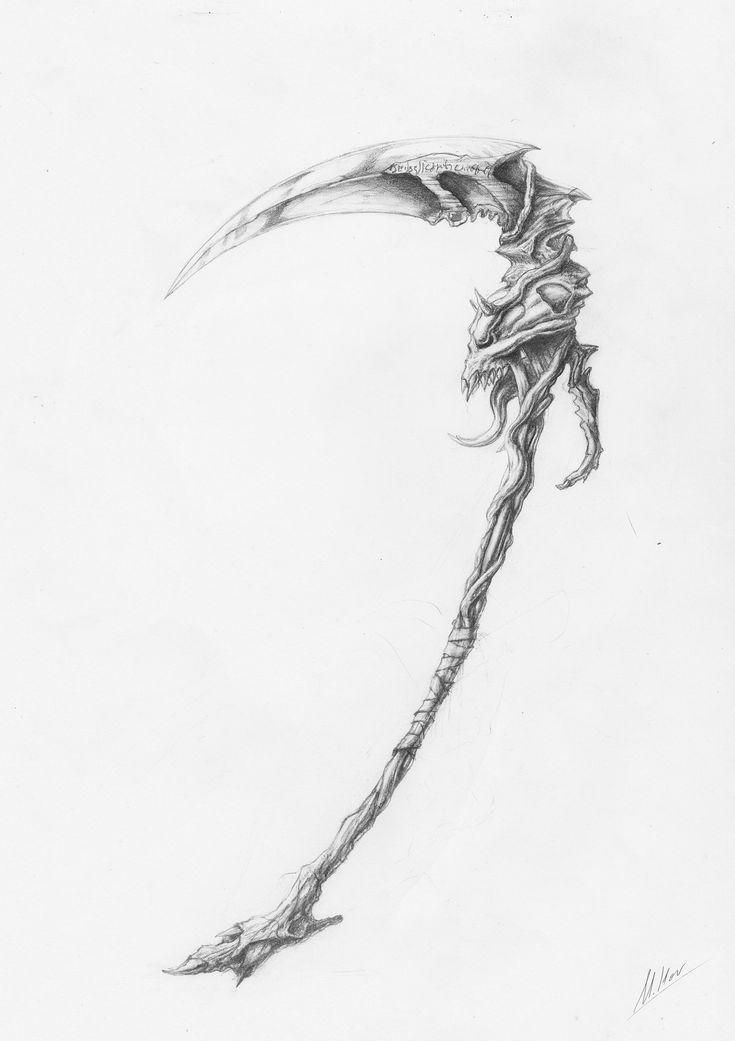 a pencil drawing of a long legged creature