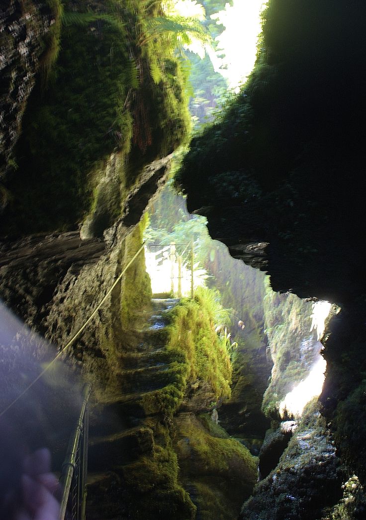 a narrow path with moss growing on the sides