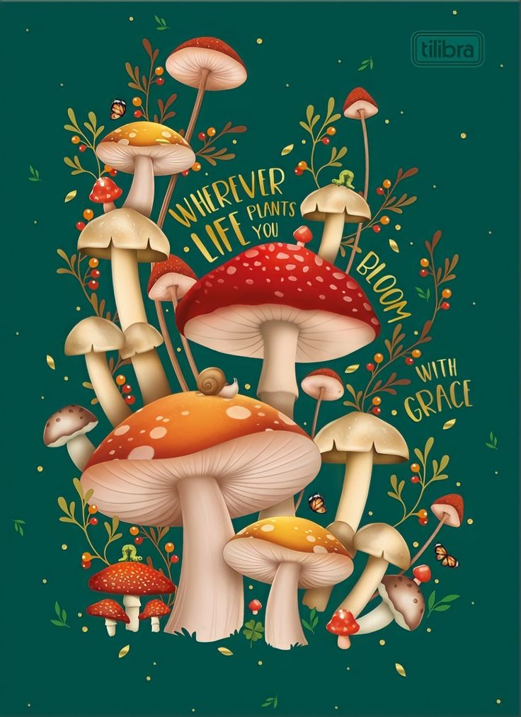 some mushrooms and leaves on a green background with the words, we've got what you