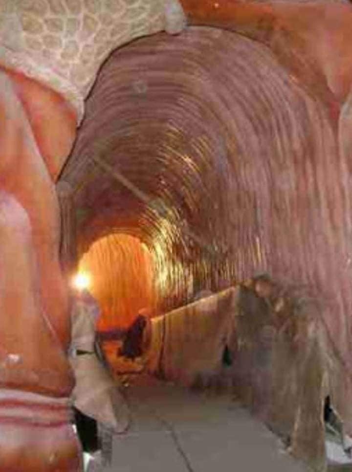 two people are walking through a tunnel with elephants on the sidewalk and one person is holding onto an elephant's leg