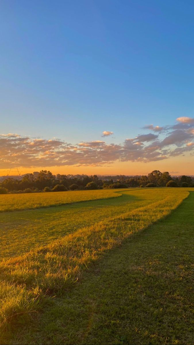 the sun is setting over an open field with green grass and trees in the distance