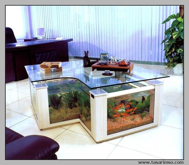 a fish tank sitting on top of a glass table