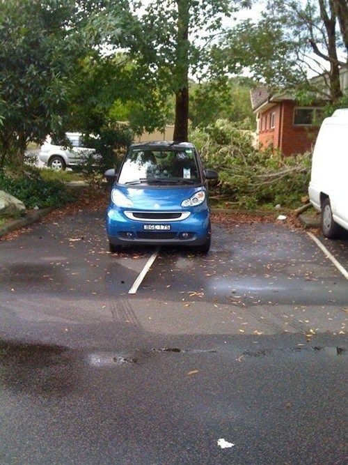 a blue car parked in a parking lot next to a white van and some trees