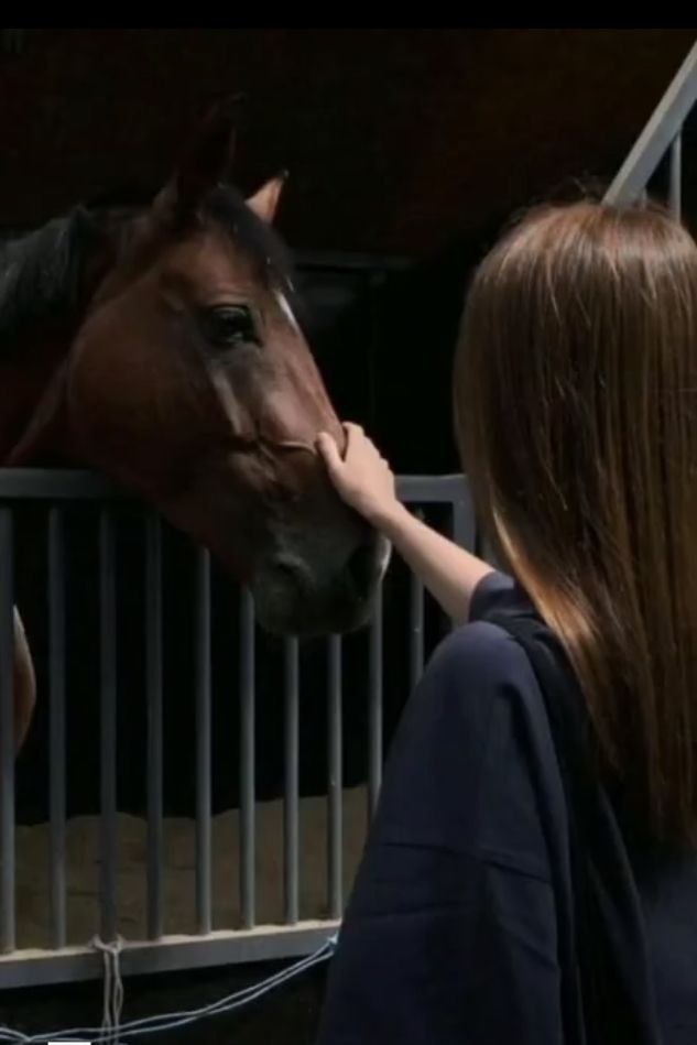 a woman standing next to a brown horse in a stable with her hand on it's face