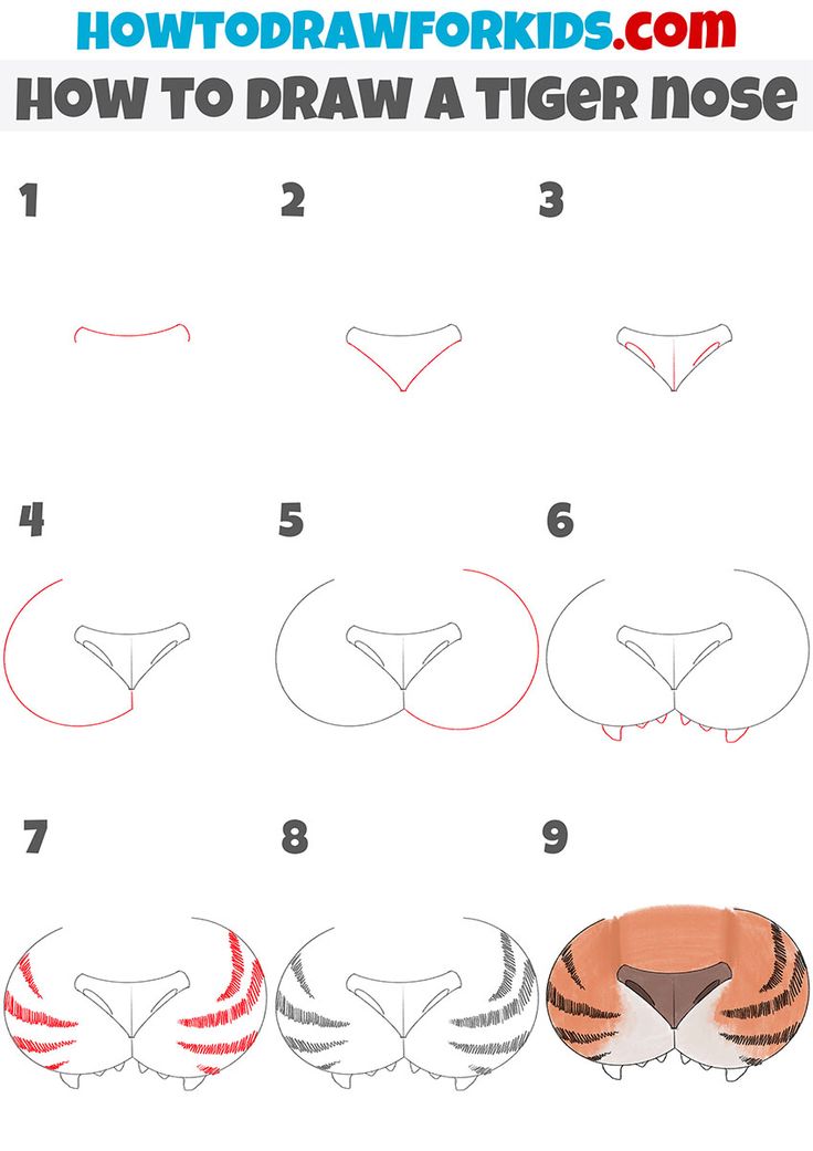 how to draw a tiger nose with step by step instructions for kids and beginners