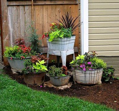 several potted plants sitting in front of a wooden fence on the side of a house