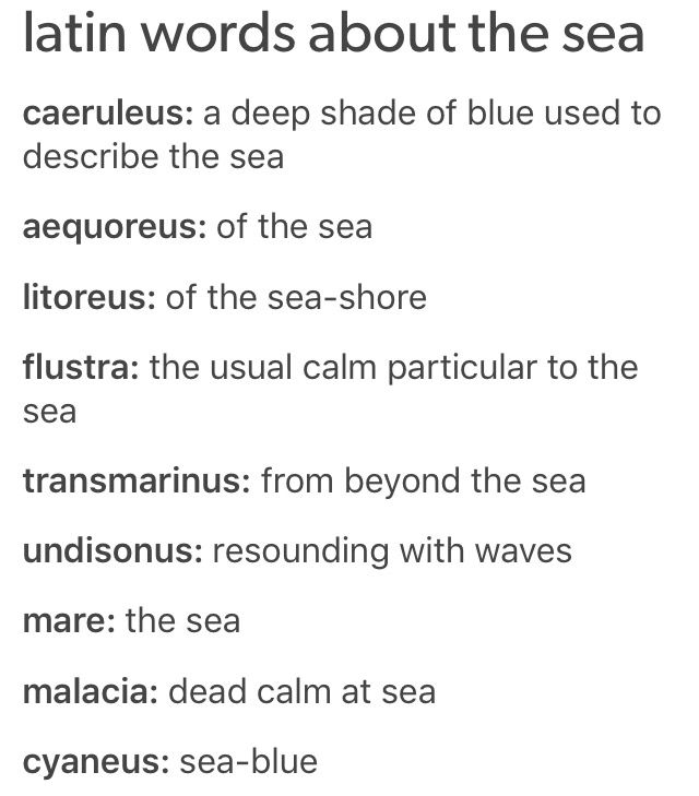 latin words about the sea and how to use them