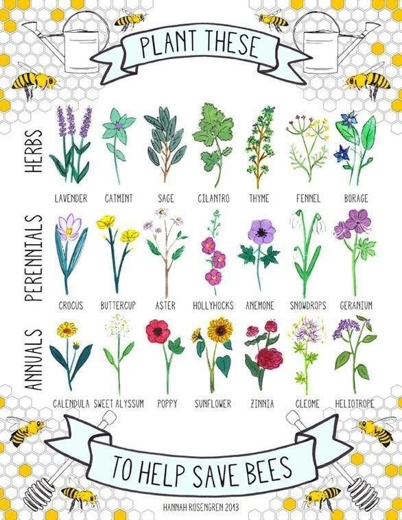 an image of flowers and bees on facebook